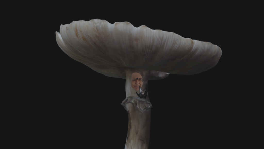 Paloma ayala palomushroom